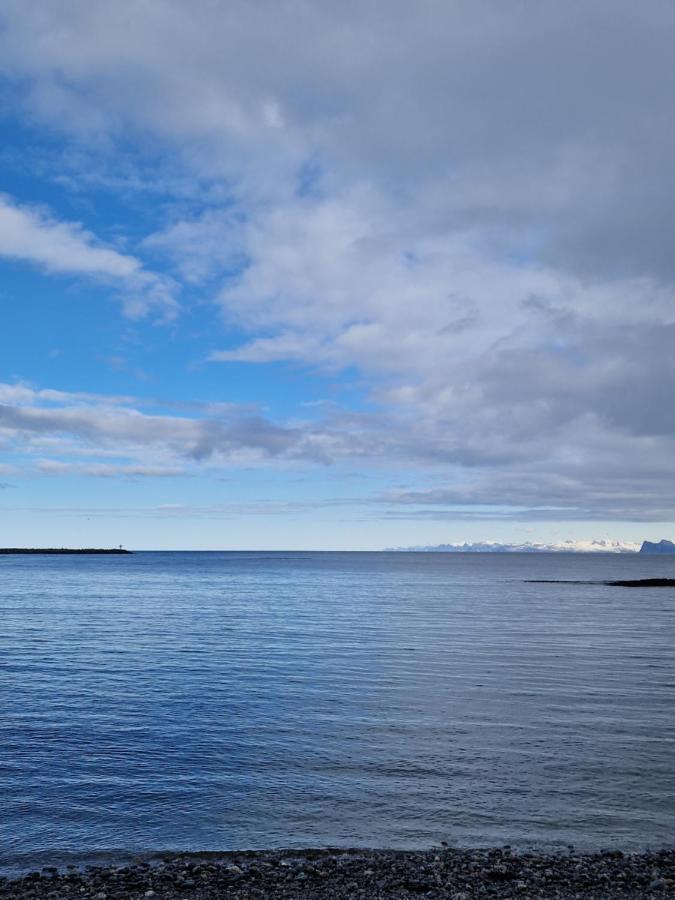Roligheten Lodge In Andenes Exteriér fotografie