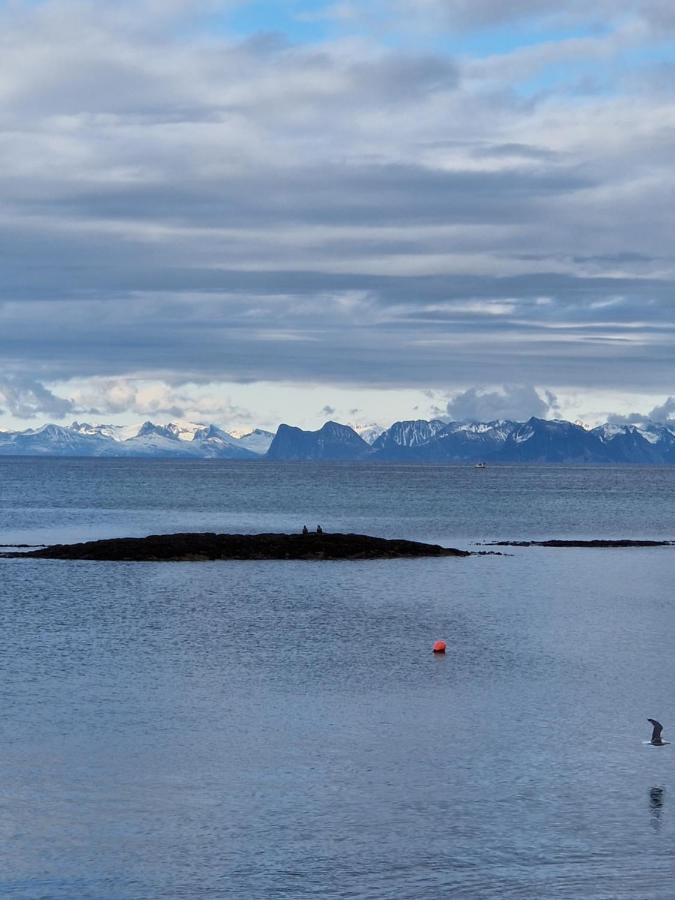 Roligheten Lodge In Andenes Exteriér fotografie
